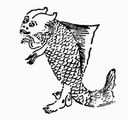 陵魚.jpg